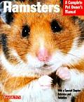 Hamsters Everything About Purchase Care