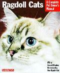 Ragdoll Cats Everything About Purchase
