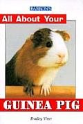 All about Your Guinea Pig All about Your Guinea Pig