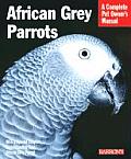 African Grey Parrots A Complete Pet Owne