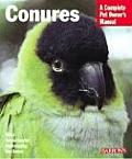 Conures Everything About Purchase Care N