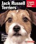 Jack Russell Terriers Everything About H