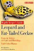 Leopard & Fat Tailed Geckos Leopard & Fat Tailed Geckos