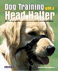 Dog Training With A Head Halter