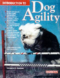 Introduction To Dog Agility