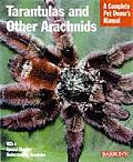 Tarantulas & Other Arachnids Everything