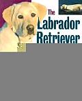 Labrador Retriever Handbook the Labrador Retriever Handbook