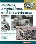 Reptiles Amphibians & Invertebrates An Identification & Care Guide