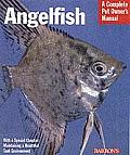 Angelfish Everything about History Care Nutrition Handling & Behavior