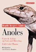 Anoles Facts & Advice on Care & Breeding