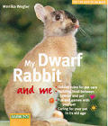 My Dwarf Rabbit & Me