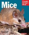 Mice Everything about History Care Nutrition Handling & Behavior