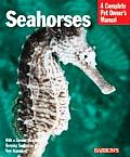 Seahorses Everything About History Care