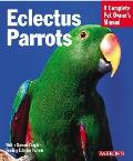 Eclectus Parrots Everything about Purchase Care Feeding & Housing