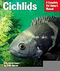 Cichlids Everything About Purchase Care