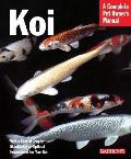 Koi Everything About Care Nutrition