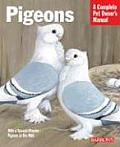 Barrons Pigeons Everything About Purchas