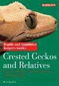 Crested Geckos & Relatives