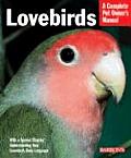 Lovebirds Everything About Purchase