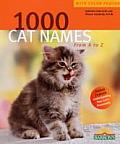 1000 Cat Names From A To Z