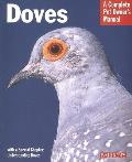 Doves Everything about Housing Health Nutrition & Breeding