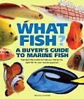 What Fish a Buyers Guide to Marine Fish Essential Information to Help You Choose the Right Fish for Your Marine Aquarium