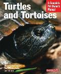 Turtles & Tortoises Everything About Sel