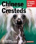 Chinese Cresteds