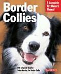Border Collies Everything about Purchase Care Nutrition Behavior & Training