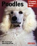 Poodles Everything about Purchase Care Nutrition Behavior & Training