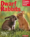 Dwarf Rabbits Everything about Selection Care Nutrition & Behavior