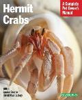 Hermit Crabs: Everything about Purchase, Care, and Nutrition