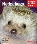 Hedgehogs Everything About Purchase Care & Nutrition