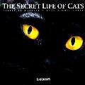 Secret Life Of Cats