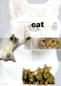 Complete Guide To The Cat