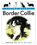 Living With A Border Collie