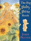 Big Baby Bear Book
