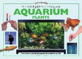 Practical Guide To Choosing Aquarium Plants