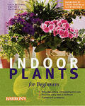 Indoor Plants For Beginners