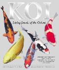 Koi Living Jewels Of The Orient