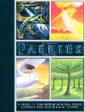 Book Of Faeries A Guide To The World Of Elves