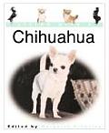 Living With A Chihuahua