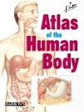 Netters Atlas of the Human Body