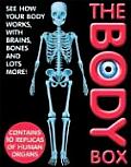 The Body Box