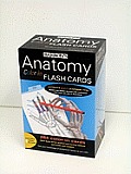 Anatomy Color In Flash Cards