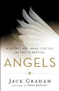Angels Who They Are What They Do & Why It Matters