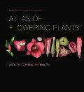 Atlas of Flowering Plants Visual Studies of 200 Deconstructed Botanical Families