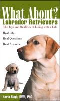What about Labrador Retrievers The Joy & Realities of Living with a Lab