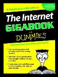 Internet Gigabook for Dummies With Stickers