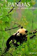 Pandas A Portrait Of The Animal World
